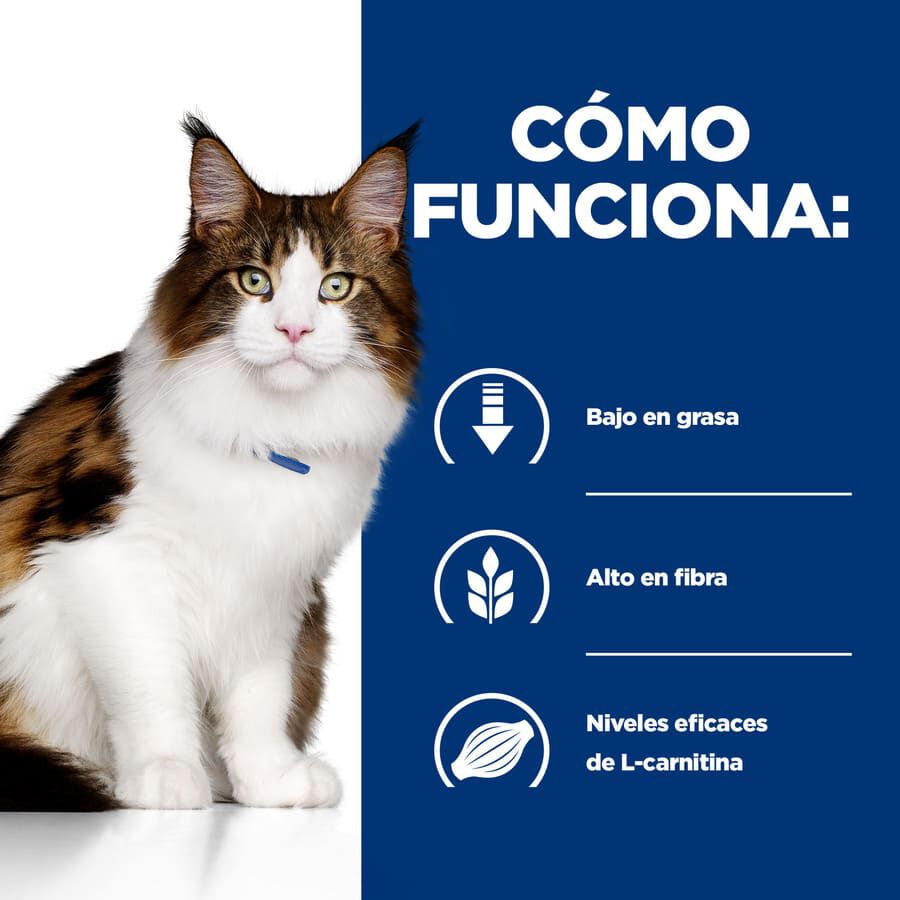 3 kg Hill's Prescription Diet Multi-Benefit Pollo pienso para gatos, , large Imagen numero 3